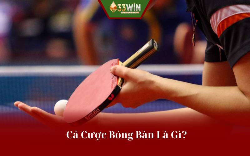 Cá Cược Bóng Bàn Là Gì?