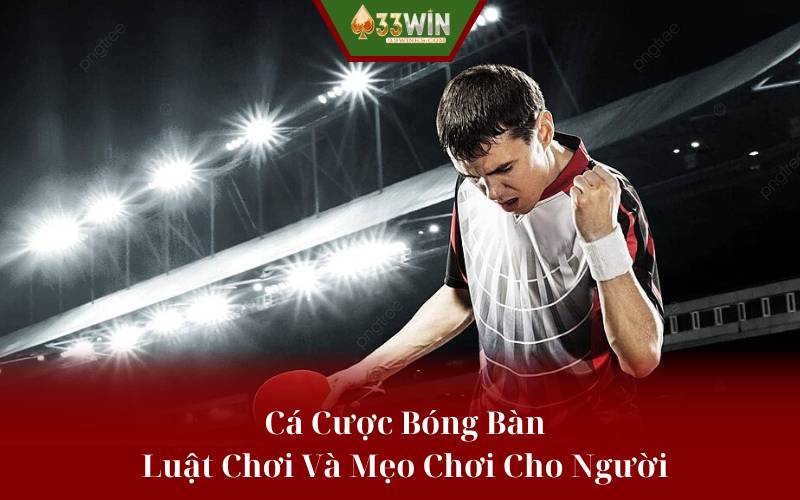 Cá Cược Bóng Bàn - Luật Chơi Và Mẹo Chơi Cho Người