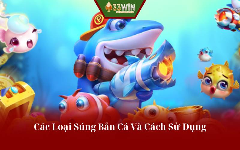 Phân Tích Chức Năng Công Dụng Từng Loại Súng